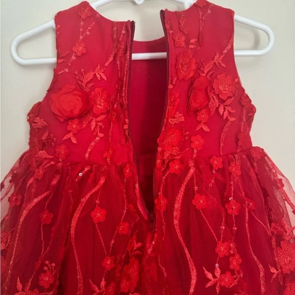 Popatu Baby Girl Red Floral Lace Tulle Dress Size 12M Special Occasion Holiday - Picture 4 of 5